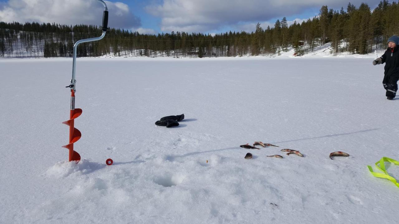 Syoete Huuhkamajat Cottage Экстерьер фото